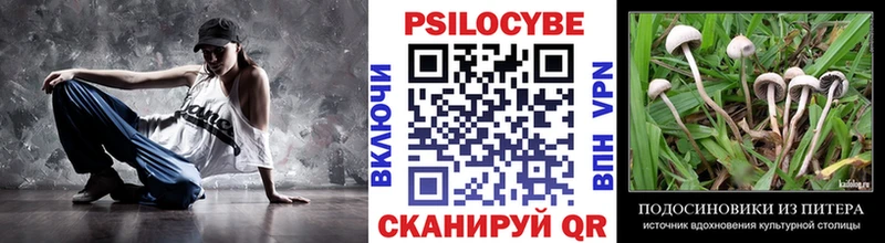 Галлюциногенные грибы MAGIC MUSHROOMS блэк спрут зеркало Павловский Посад