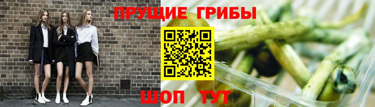 Псилоцибиновые грибы GOLDEN TEACHER  Вход с VPN  Павловский Посад 